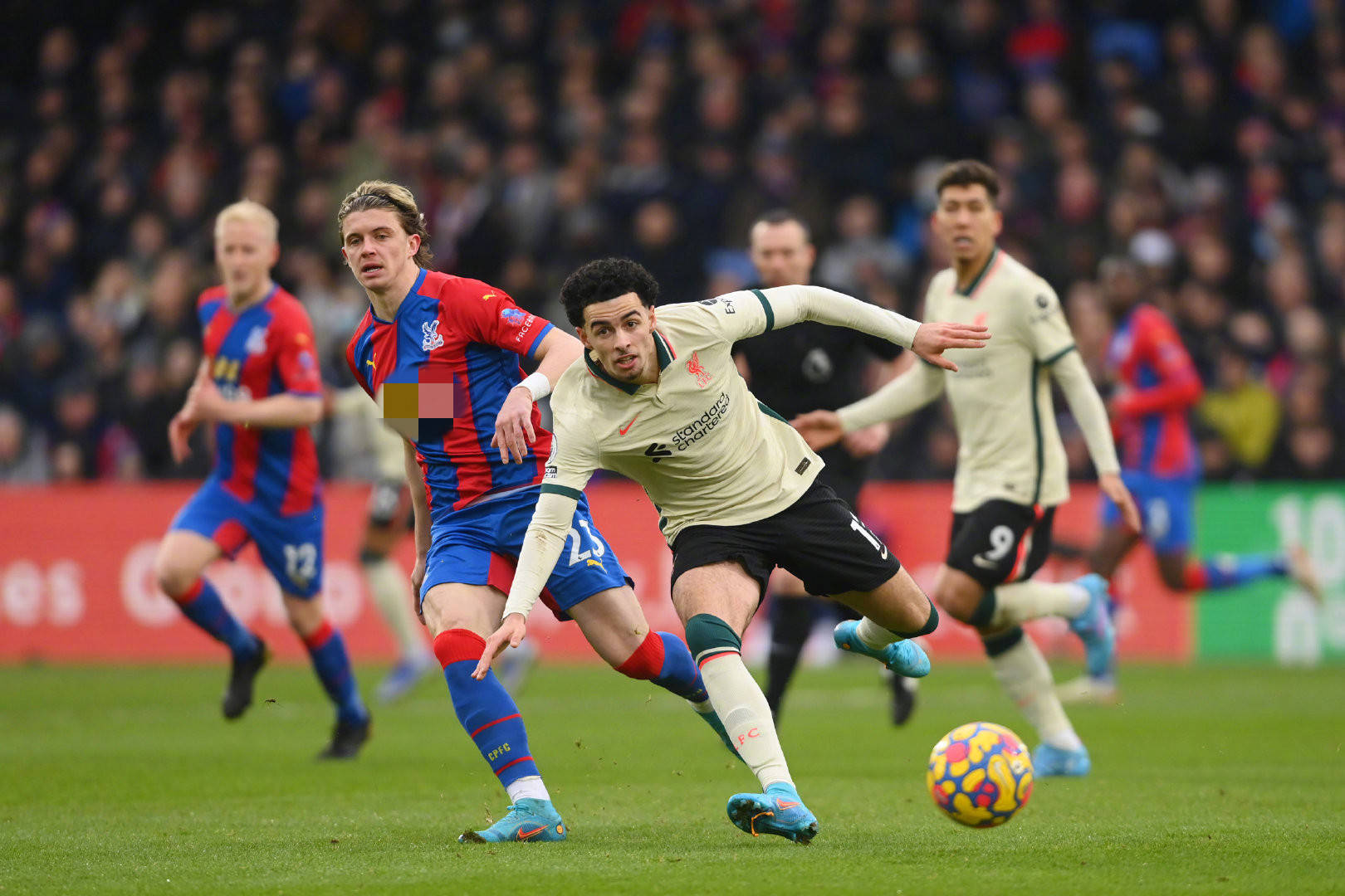 战世青赛的 战世青赛的